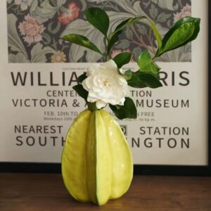 Fruit EU popular Ceramic vase creative art flower arrangement flower device, home decoration